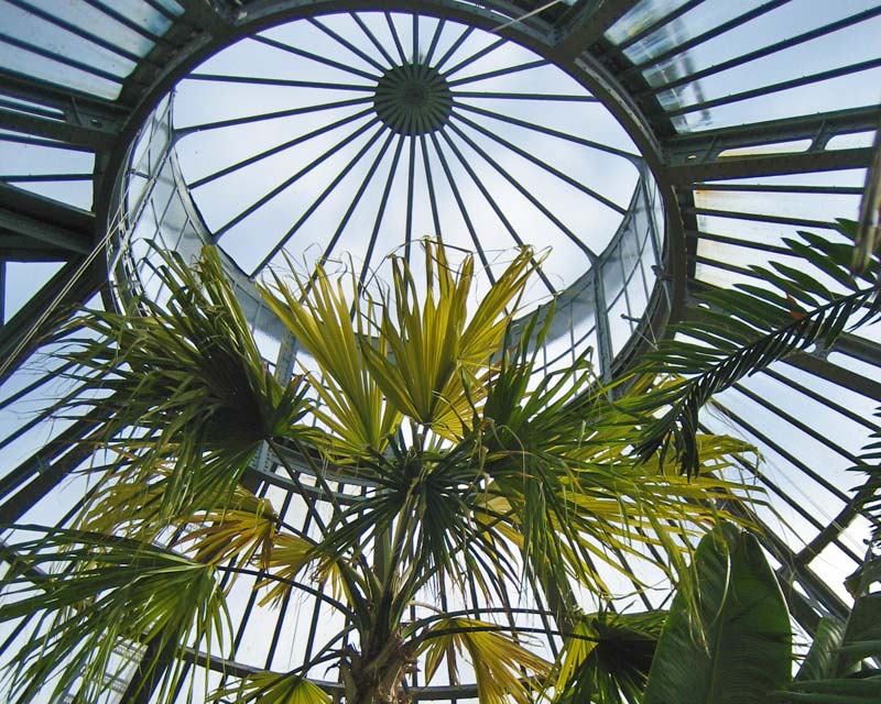 The imposing Palm House - De Hortus Botanicus Amsterdam