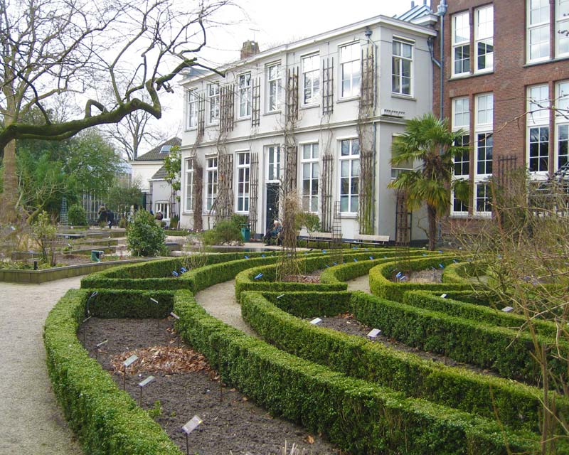 The Semi-Circle Garden De Hortus Botanicus Amsterdam is part of the original plantings of medicinal herbs.